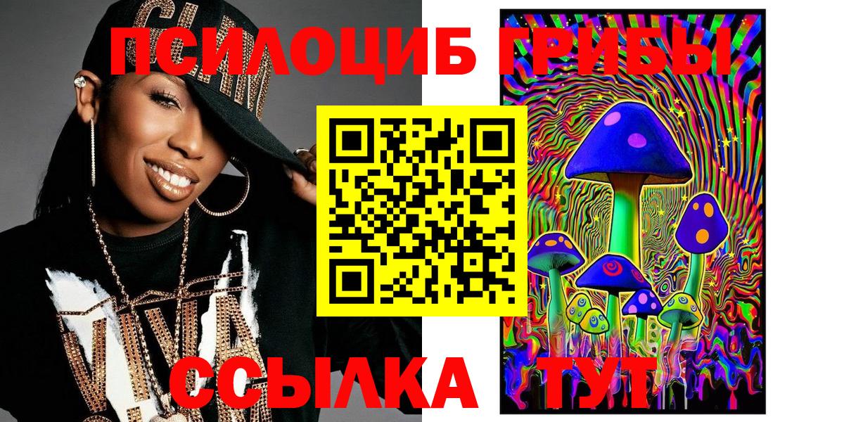 Псилоцибиновые грибы Cubensis Чусовой