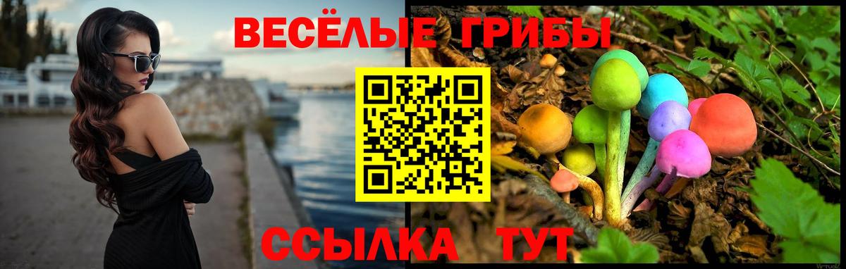Псилоцибиновые грибы Cubensis  Вход с VPN  Чусовой 
